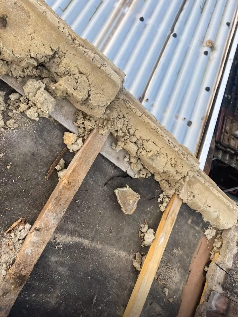 Old sand and cement bedding crumbled away under a ridge tile