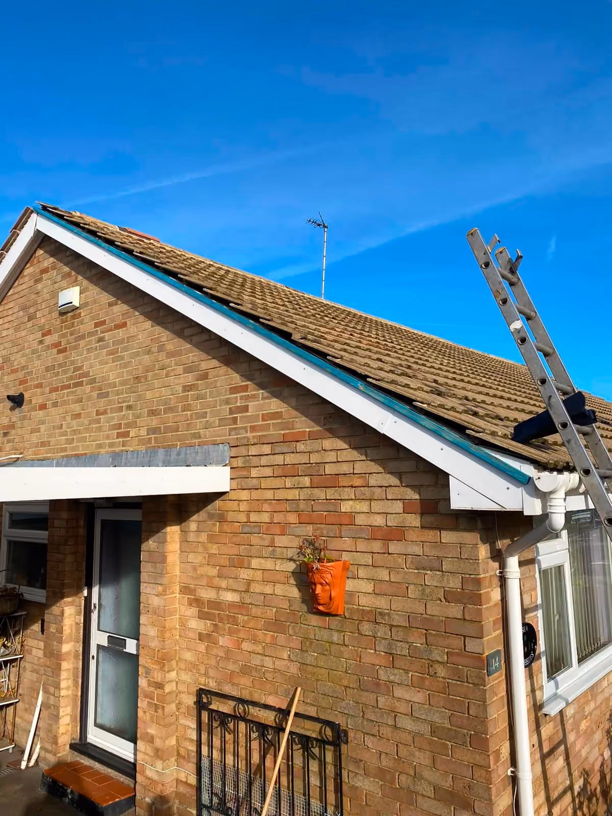 A bungalow with a ladder up to the eaves