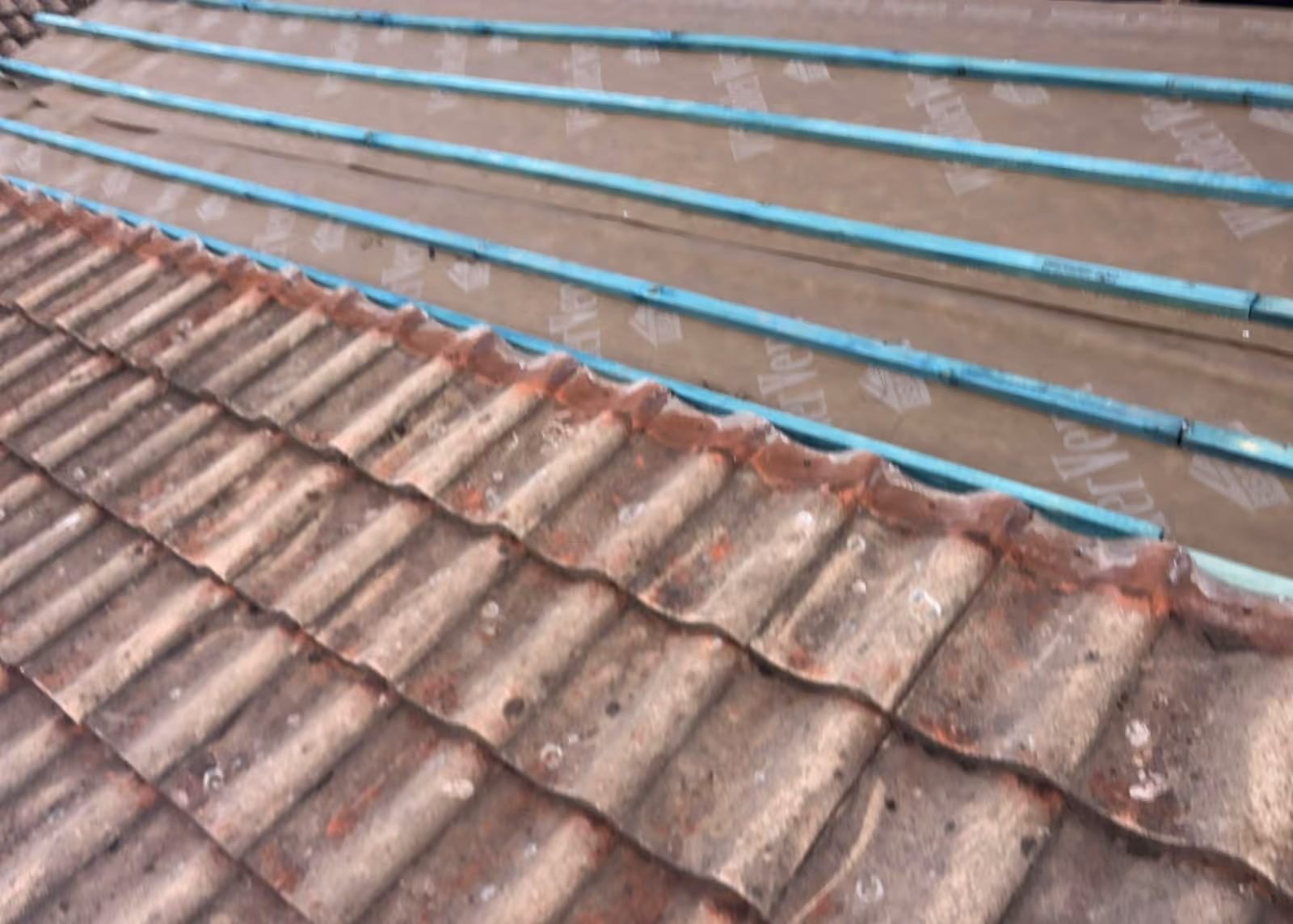 Clay pantiles going back on over fresh battens