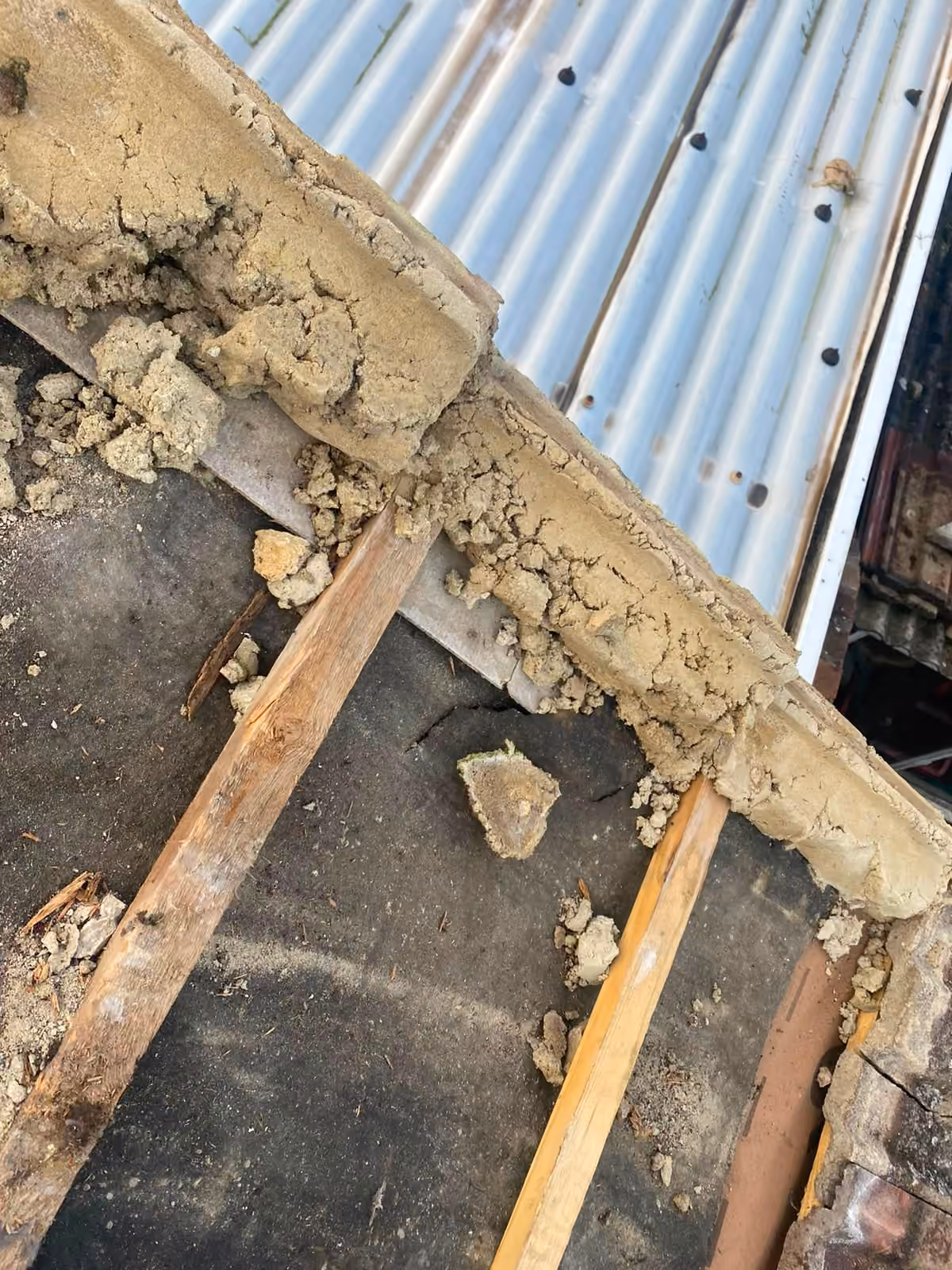 Corrugated sheeting and old timber exposed on a stripped roof